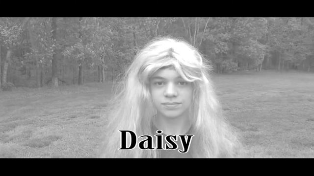 Final Lit Project Great Gatsby