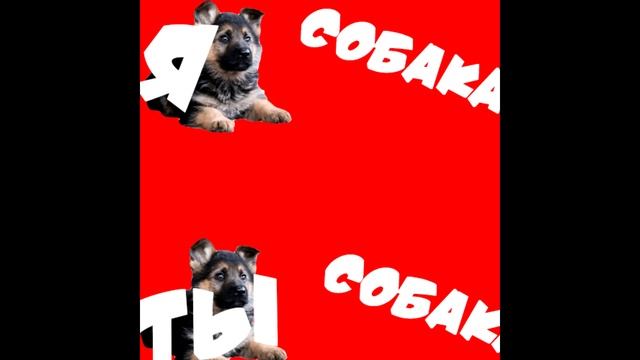 ( Премьера клипа 2023 ) Я собака, Ты собака