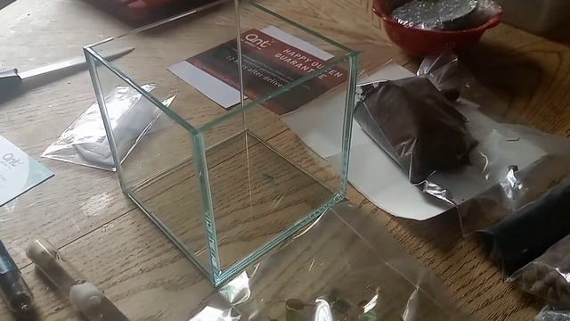Setting up a "Mini Natural Set Up" from Ant Antics