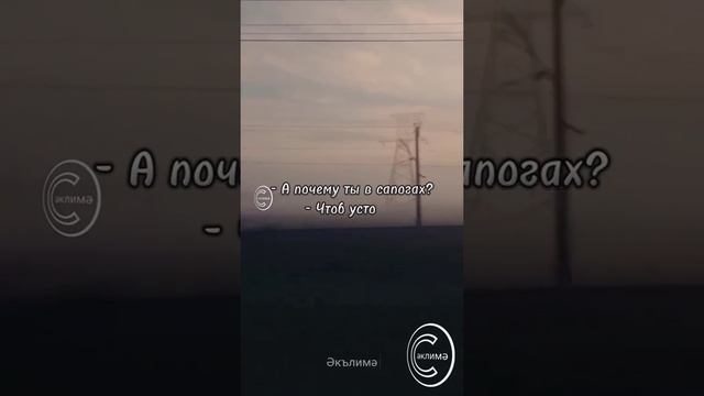 Разговор. Автор - Исп. Виталий Аксенов.