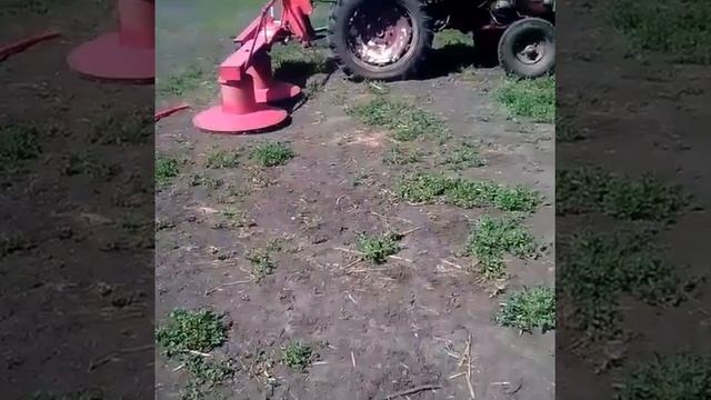 Пробный пуск виракс с трактором т 25