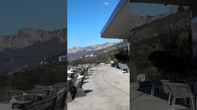 14 апреля 2025 года. ЮБК, местный котейка и вид на море и горы