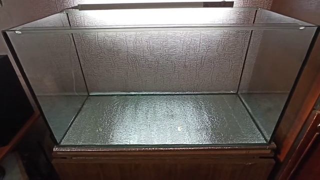 Выбор аквариума и установка