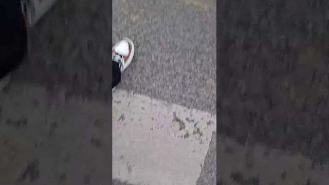 иду домой