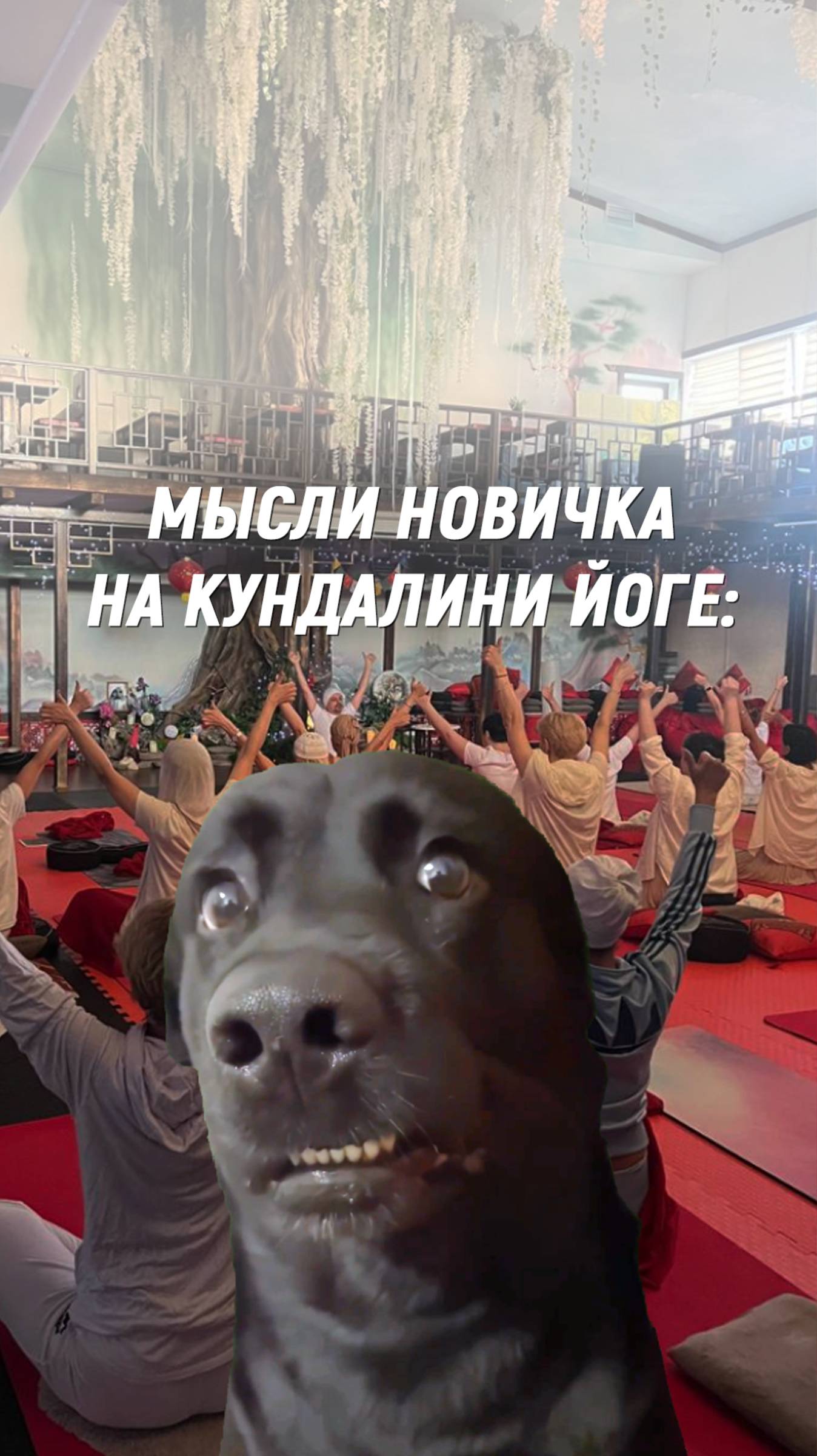 Каждый уважаемый новичок на Кундалини йоге:
