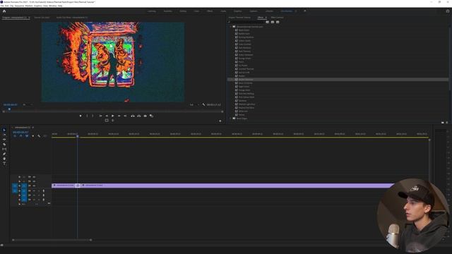 INSANE THERMAL EFFECT/PRESET PACK [PREMIERE PRO]