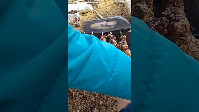 выходной и день рождения жены