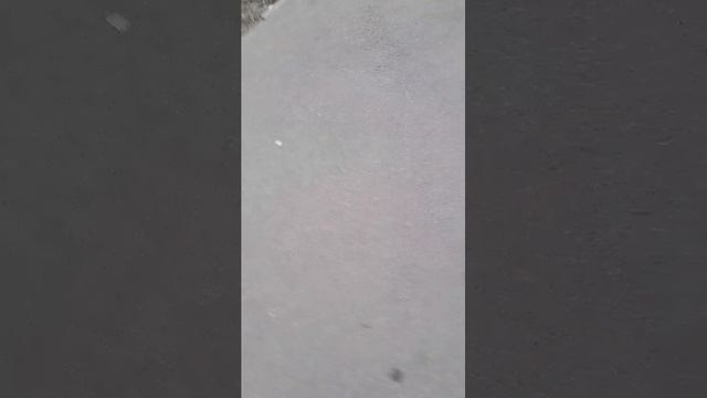иду домой