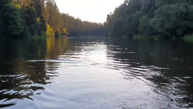 Лeна LIFE \ Лена и Ваня LIFE \ Дорвалась, а удовольствие оказалось сомнительное... \ Обзор влогов