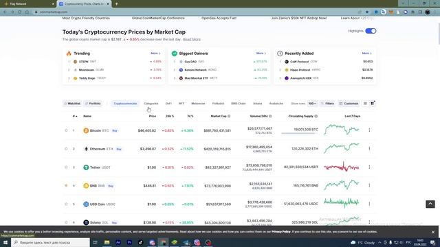 Flagnetwork скам! или всетаки нет ?