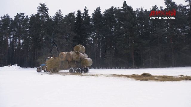 Вольерное хозяйство. Беларусь. Красный Бор