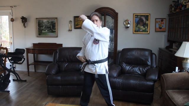 Old Greenwich Karate at Home Video Training 1