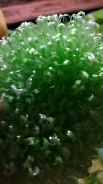 15-04-2025