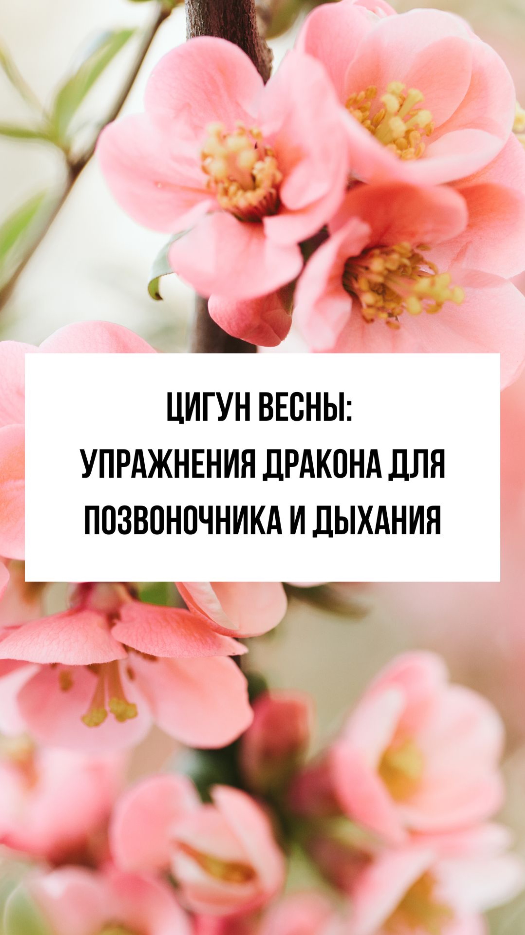 Дракон пробуждает тело: цигун для гибкости и энергии весной