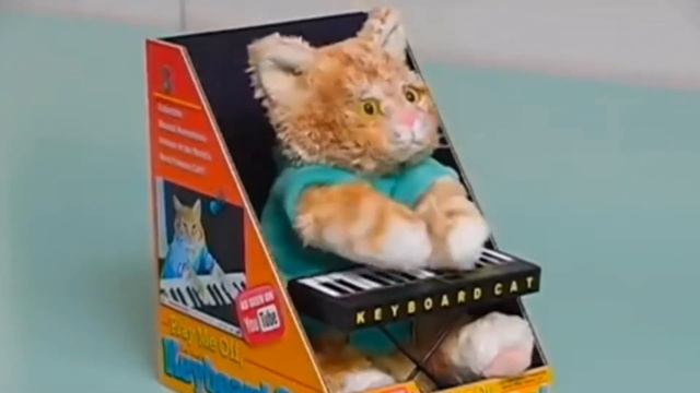 Keyboard Cat Toy?!?