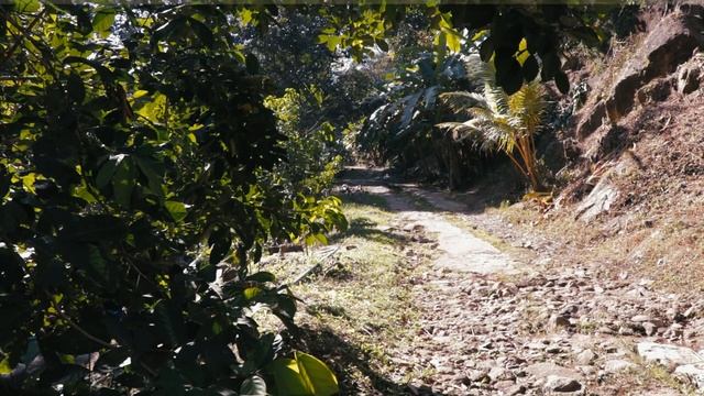 nature trail Kathu Waterfall - Bang Wan Waterfall Phuket