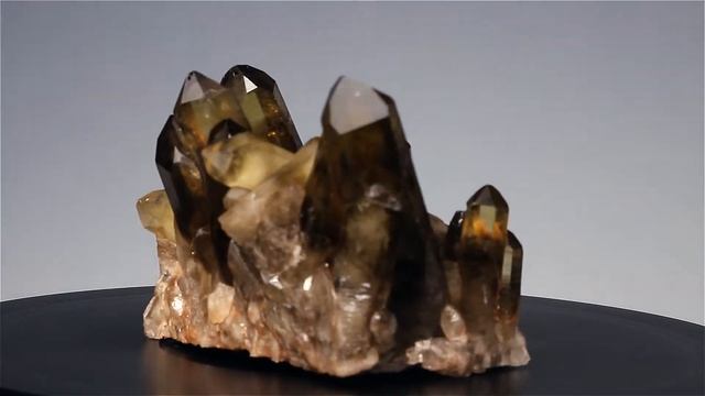 Q1259 - Natural Smoky Citrine Quartz Cluster with Phantoms