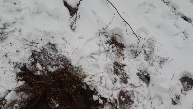 Экстрим!!! Коп на пропавшей советской деревне.