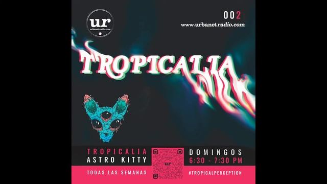 Tropicalia 002 (Dark Melodic) — Astro Kitty