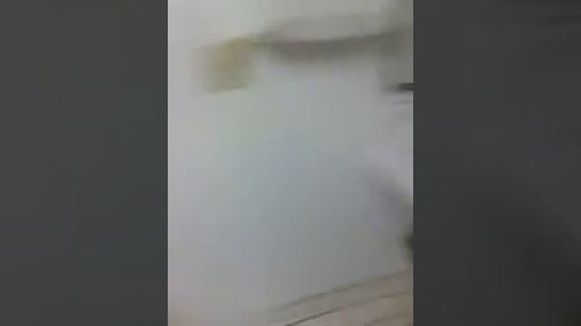 Piss in the pisser
