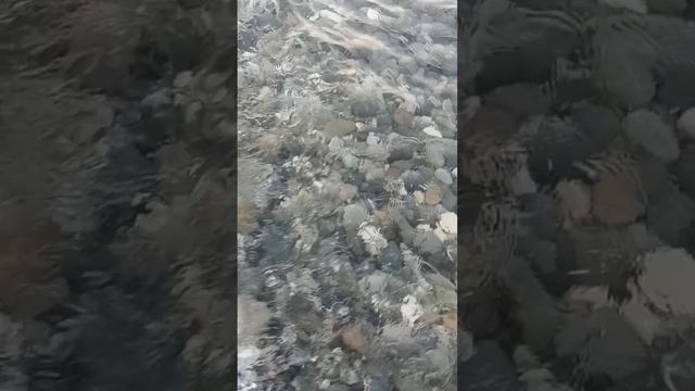Отдых. Архив 2024. Было классно.