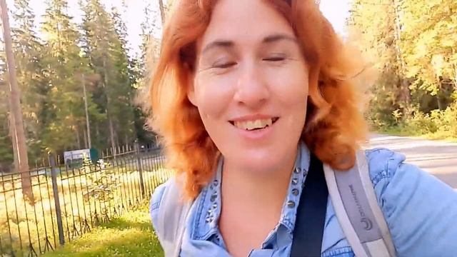 Жора Стал Почётным Донором/Комарово Сбор Черники/Легко Фест В Парке 300 Летия/Влог