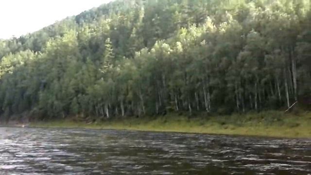 первая рыба