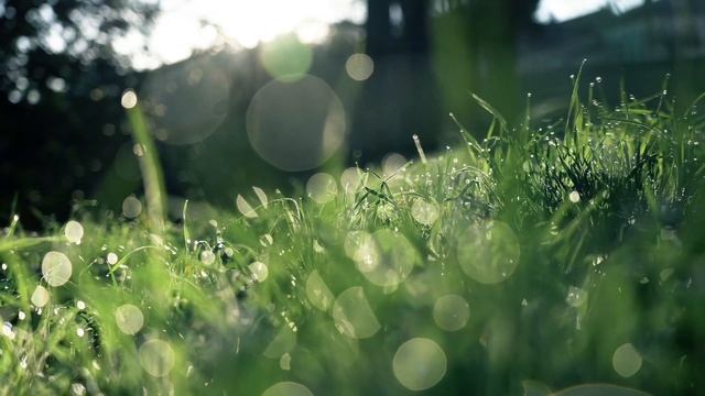 Впускаем Бога в свою жизнь… Просим помощи в решении проблемы…🧘♀️♥️