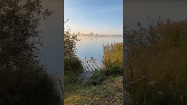 Три белых берёзы - Музыка, исполнение Юрия СТАРЦЕВА, стихи Наталии Аникеевой