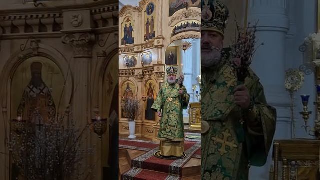 Владыка Лукиан о Воскресении Христовом. Вход Господень в Иерусалим