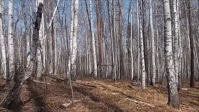 Кладоискательство без понтов.