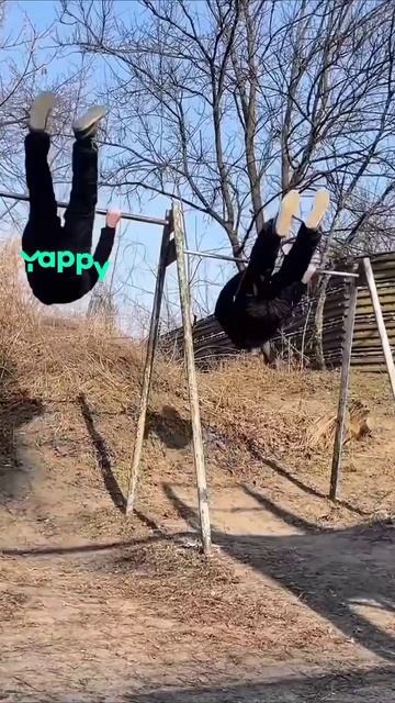 scene_output.mp4