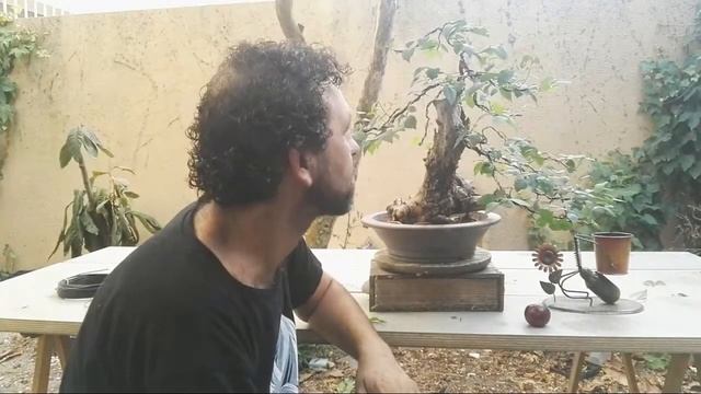Sabado En Directo