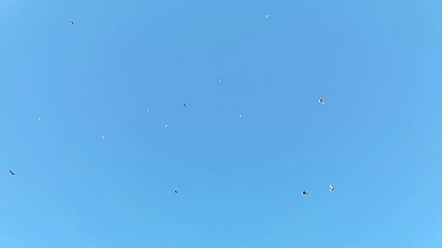 приподнялись после перерыва.