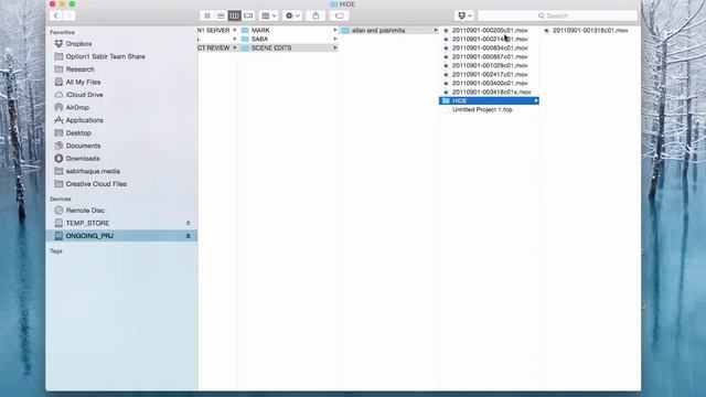 Adobe Premiere Pro CC - Chapter 1.2 Asset Management