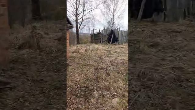 Видео WhatsApp 2025-04-13 в 15.07.40_9fc9b75c