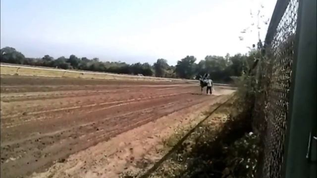 HORSE RACES on ALMATY HIPPODROME