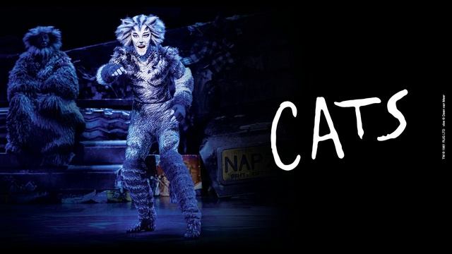 "Skimbleshanks" from Cats - Karaoke Track