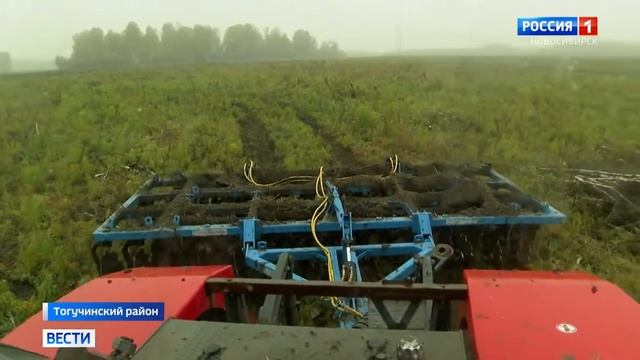ГТРК 08 10 2021 Ревизию заброшенных земель со спорным статусом проводят в Новосибирской области