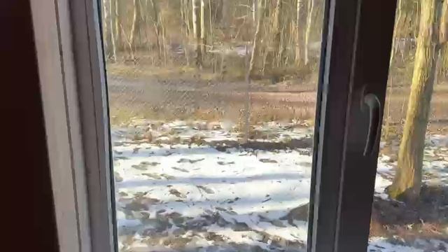 Посёлок Дачное. Дом 8х8. 04-2025