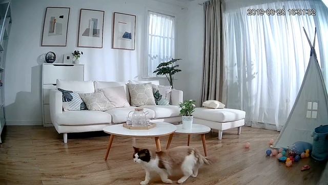 Ranger2——AI Home Security Camera