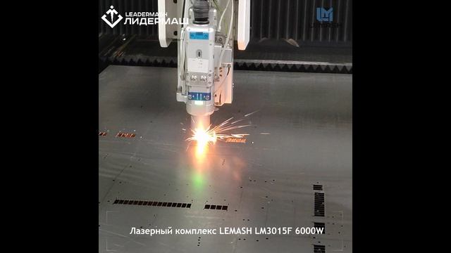 Волоконный лазерный станок LEMASH LM3015F 6000W