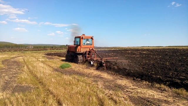 ДТ-75 вспашка паров, 25 июня 2017 г.