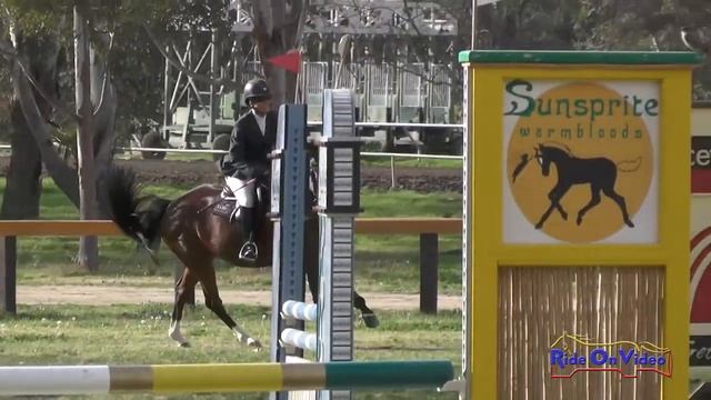 191S Lisa Sabo on Doria Open Beginner Novice Show Jumping Galway Downs Feb. 2015