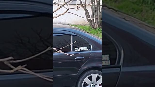 VID-20250413-WA0025(1)