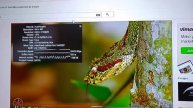 Lenovo ideacentre stick 300 video playback on Microsoft Edge