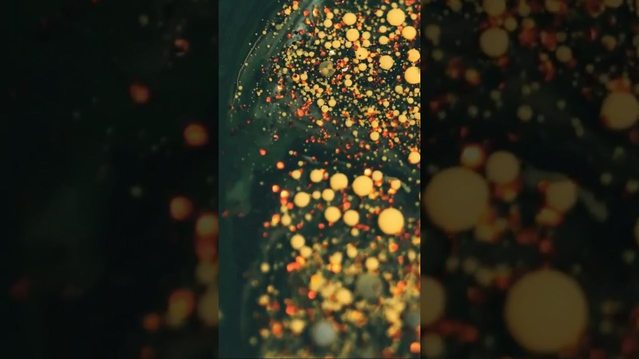 ХИМИЧЕСКАЯ ЭВОЛЮЦИЯ НА ЗЕМЛЕ | THE SPACEWAY