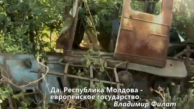 Коалиция разрушила сельское хозяйство