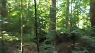 IOO Ash Cave Hocking Hills - Hi Def AV Alternate Video Edit