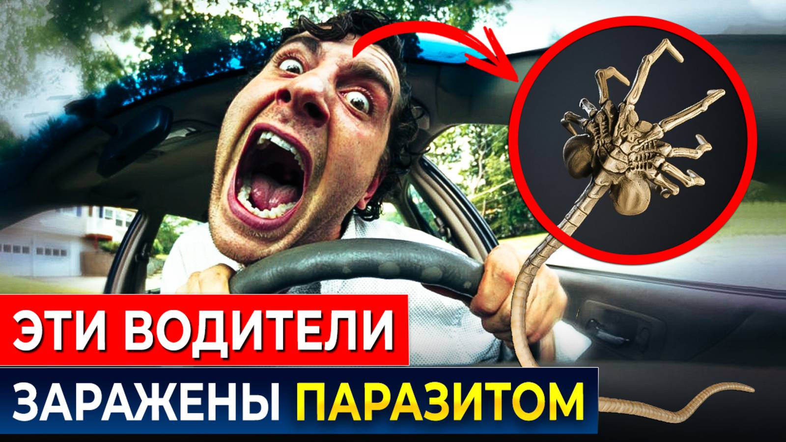 5 Признаков паразитов в организме: Срочно проверьтесь на паразитов!